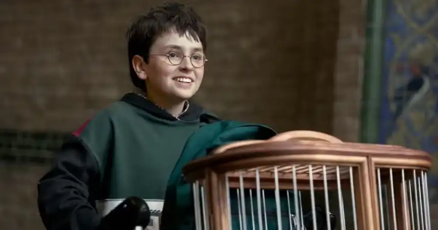 Harry Potter