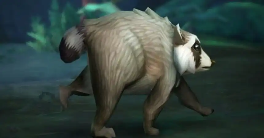 Jimothy